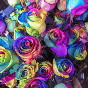 Полевая муза